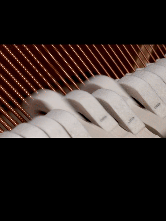 Martelos PR2.0, desenvolvidos exclusivamente pela Pearl River