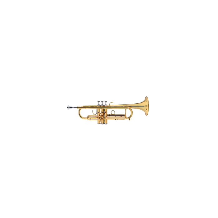 TC-DL-DLTR-170-principal