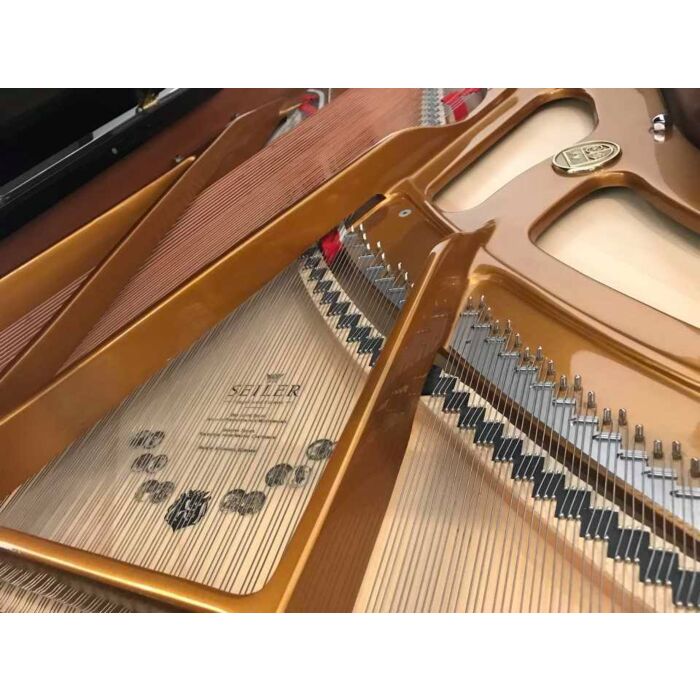 O piano de cauda Seiler SE-208 Professional é um instrumento de alta qualidade, projetado para músicos profissionais e exigentes. Com um som rico e poderoso, este piano oferece uma experiência de tocar única e envolvente. Seu design elegante e sofisticado
