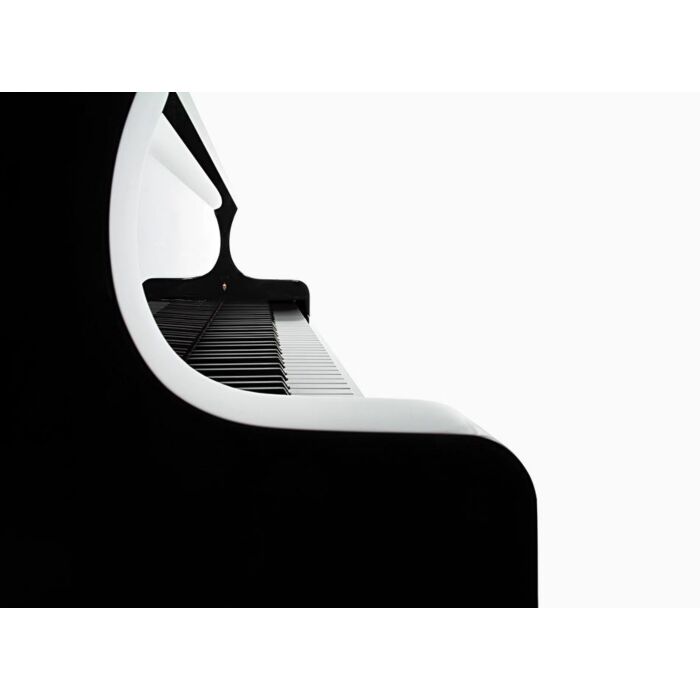 O piano de cauda Seiler SE-278 Concert é um instrumento de alta qualidade, projetado para atender às necessidades dos músicos mais exigentes. Com um som rico e poderoso, este piano é perfeito para apresentações em grandes salas de concerto e estúdios de g