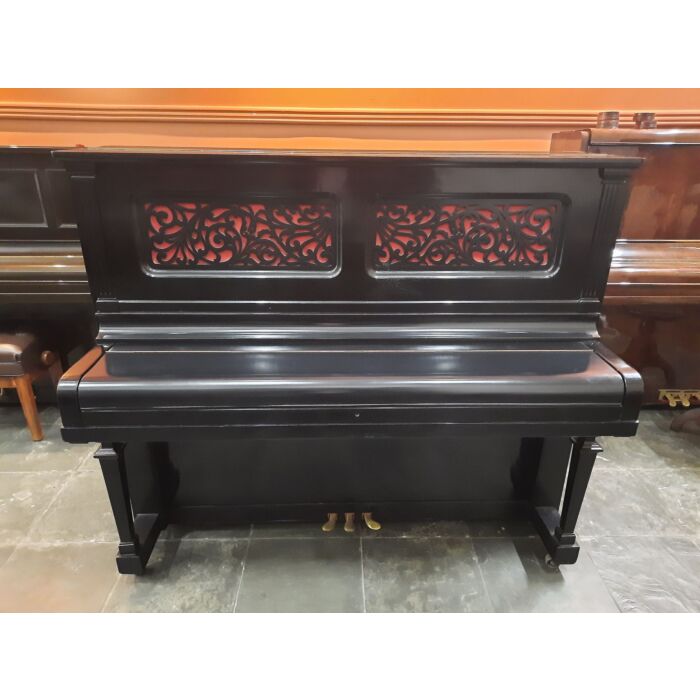 A Steinway & Sons é uma famosa marca de pianos, que foi fundada em 1853, em Nova York.  Apesar da fábrica da Steinway & Sons ter passado por tantas mudanças ao longo de sua história, a marca continua fabricando pianos incomparáveis pelo mundo todo.  Atual