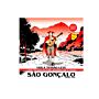 Jogo De Cordas P/viola Cebolão Em Mi Cobre Prata Tensão Leve 0.010 - 0.030 / 0.010 - 0.012 São Gonçalo 1