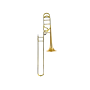Der Loewe DLTB-210 Trombone de Vara Dourado - Vista Frontal