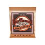 Encordoamento 010"-052" P/violão Aço Earthwood Rock And Blues Phosphor Bronze Ernie Ball P02151 1