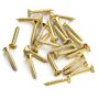Parafuso Suporte Jack Dourado WO2.5X15-GD (24 Peças) Spirit 1