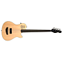 baixo a4 ultra 4c godin nat fretless