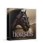Boom Horses - BOOM LIBRARY | Libraries