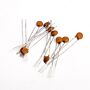 Condensador Ceramic 50V (Unidade) Spirit CC-102