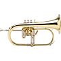 flugelhorn jupiter xo bb gold lacquer