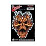 Adesivo Guitarra Flame Whip Skull Tattoo D Addario GT77013