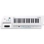 roland lucina ax-09 wh keytar