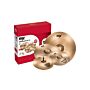 sabian b8 5003x-14 kit de pratos de bateria