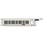 Sintetizador Roland AX-7 Keytar: teclado portátil para músicos