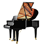 Piano Acústico Cauda Schimmel Classic C169 Tradition Alemanha