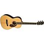 violão fender parlor pm-2 deluxe com case paramount series