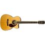 violão fender triple'0 pm-3 standard com case paramount series