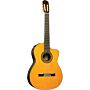 violão takamine th5c & ctp2 c/case