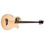 warwick alien standard 4c natural