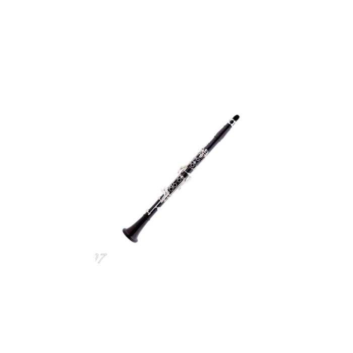 Comprar Clarinete Der Loewe DLCL-170 - 1 Comprar Clarinete Der Loewe DLCL-170 - 1