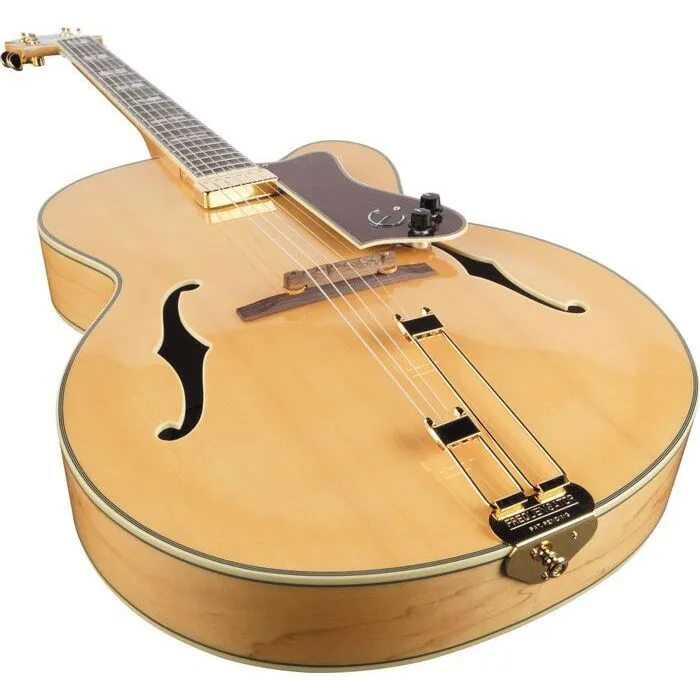 ギター Epiphone EMPEROR REGENT AS epiphoneemperorregenttheultima