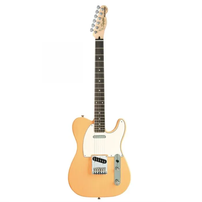 fender squier telecaster mex standard series | TeclaCenter Instru