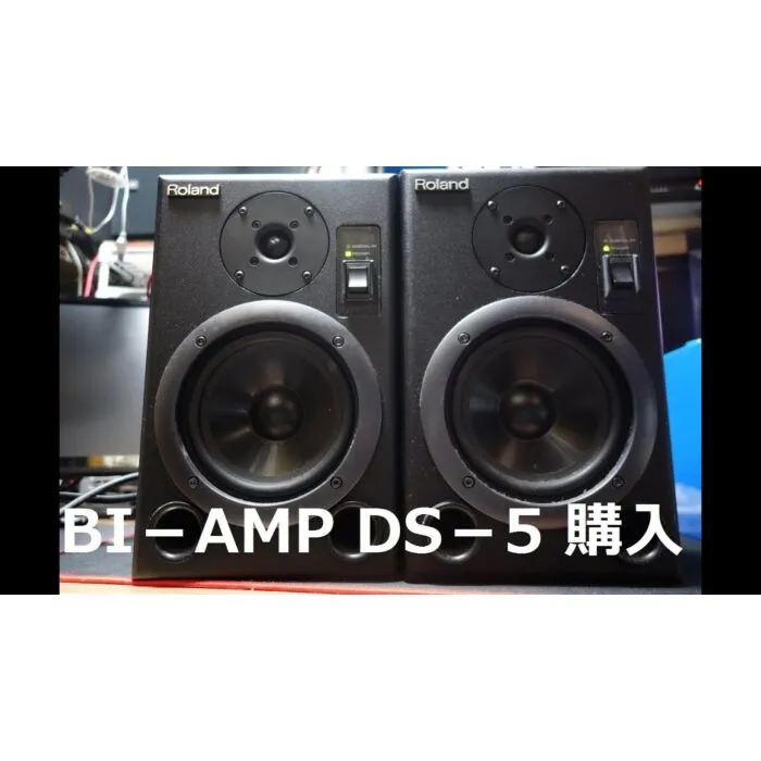 Roland DS-5 モニタースピーカー Roland DS-5 パワードモニター