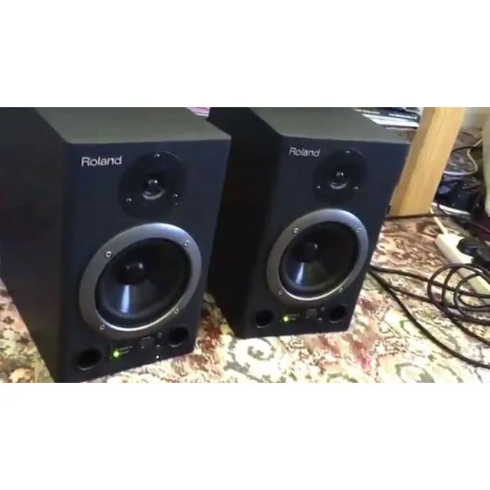 Monitor Ativo Bi-Amplificado Roland DS-5 | TeclaCenter Instrument