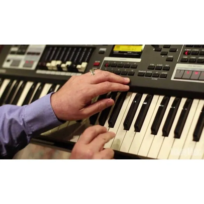 Hammond SK-1 Órgão de Teclado para Instrumentos Musicais | TeclaC