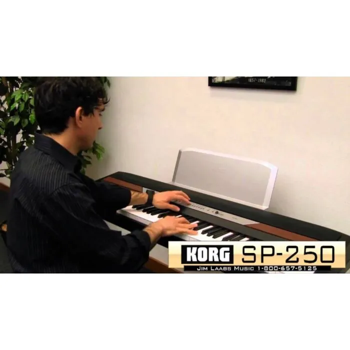 korg sp-250 bk piano | TeclaCenter Instrumentos Musicais