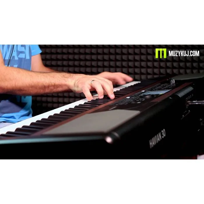 korg havian-30 piano arranjador | TeclaCenter Instrumentos
