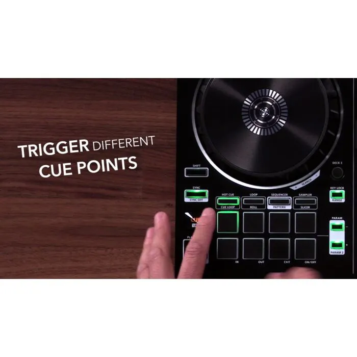 Controlador para DJ Roland DJ-202 | TeclaCenter Instrumentos Musi