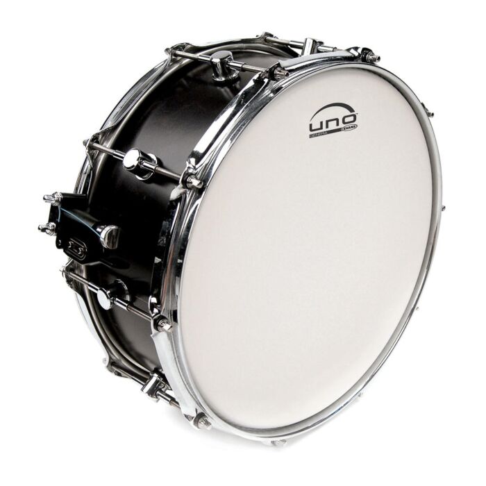 Comprar Pele Batedeira Caixa 13' Porosa Uno By Evans Genera UB13GEN - 1