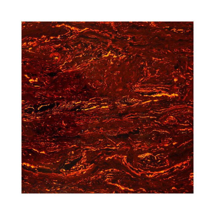 Comprar Placa Para Escudo Instrumentos Tortoise Shell Spirit TOY27 - 1