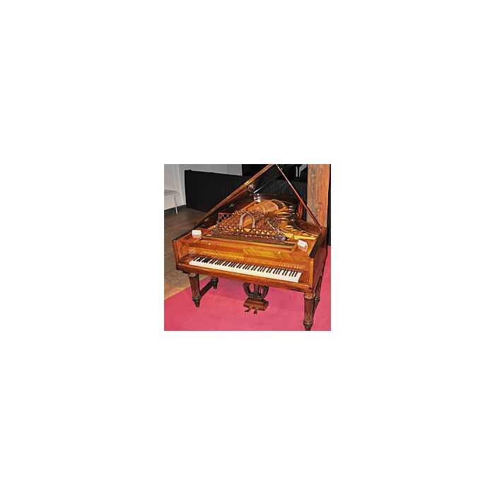 Piano Broadwood Pleyel Frenzel Bechstein. Requer Instrumento Pianoteq - Pianoteq Kremsegg Collection 2 - PIANOTEQ  | Libraries-Pianoteq Kremsegg Collection 2 - PIANOTEQ  | Libraries ID-86738
