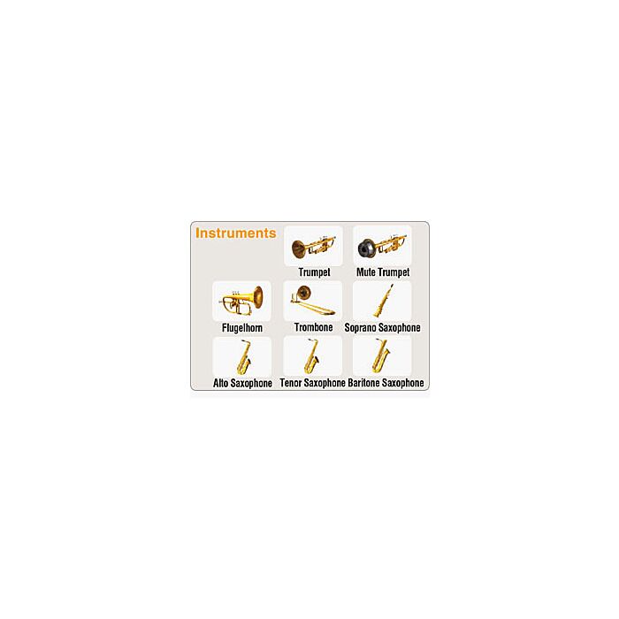   ARX-03 BRASS  Placa de expansão Com a tecnologia SuperNATURAL, a placa ARX-03 cria uma nova forma de simular e editar sons de metais no Fantom-G. Com alta qualidade sonora e incríveis telas de edição, os naipes de metais da ARX-03 não podem ser gerados 