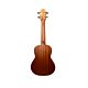 Ukulele Benson Concert Sapele 24 c/ bag UB-24-B 1