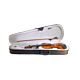 Violino 3/4 Benson BVR301 - Modelo Ruggeri com madeiras refinadas