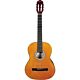 Violão Giannini S14 Acústico Aço Acústico Natural 1