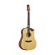 Violao Aco Sd201hcr Ns Folk Fosco Strinberg 1