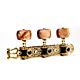 Tarraxa Violão Clássico (Nylon) Dourada Gotoh 35G16001RS