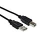 Cabo Usb A Macho Para Usb B Macho 2.0 5m Storm 1