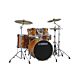 STAGE CUSTOM SBP2F5 22" HA