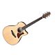 Violão Aço Eletroacústico Natural Ibanez AAM50CE-OPN 1
