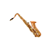 TC-DL-DLAS-170-principal