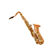 TC-DL-DLSS-170-principal