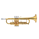 TC-DL-DLTR-170-principal