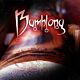 Bamblong - SOUNDIRON | Libraries