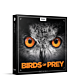 Boom Birds of Prey - BOOM LIBRARY | Libraries