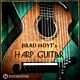 Brad Hoyt's Harp Guitar - SOUNDIRON  | Libraries