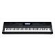 Teclado Casio WK-6500 - 76 Teclas Sensíveis, 670 Sons e 200 Ritmos